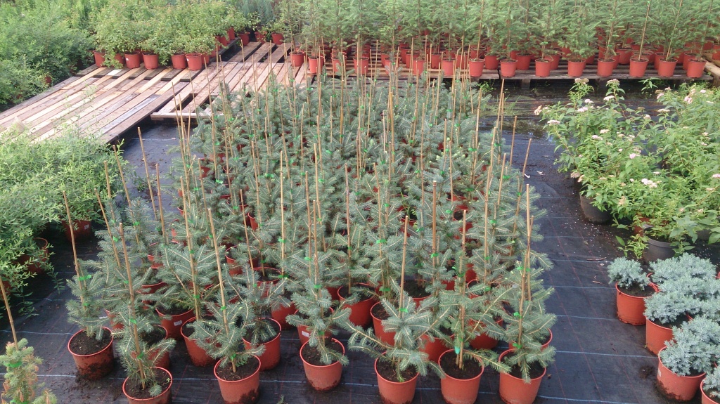 DSC_5069.jpg DSC_5069.jpg