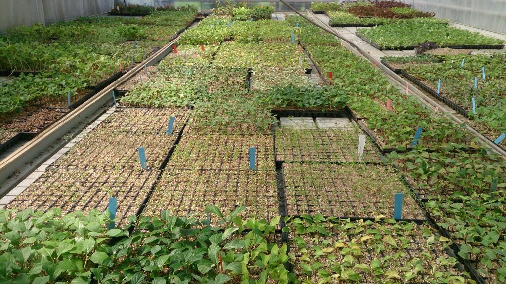 DSC_5076.jpg DSC_5076.jpg