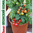 Томат (Помидор) Декоративный Японский комнатный  Томат (Помидор) Декоративный Японский комнатный