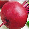 Свёкла столовая Багряный шар