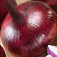 Лук репчатый Брунсвик