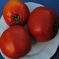 Томат Сахарок Томат Сахарок